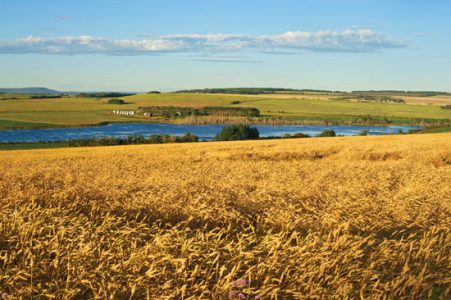 Homesteading Leads Individuals Closer to Self-Sufficiency Image